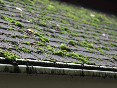 Local Roof moss removal contractors Bicester