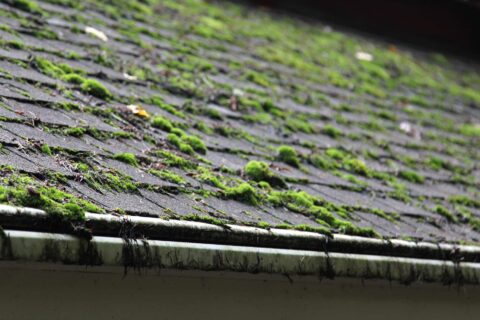 Roof Cleaning & Coating Bicester