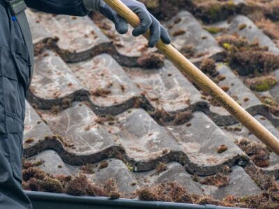 Roof moss removal company Bicester
