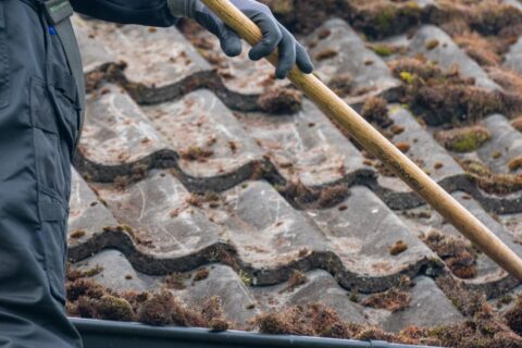 Banbury Roof Moss Removal Experts
