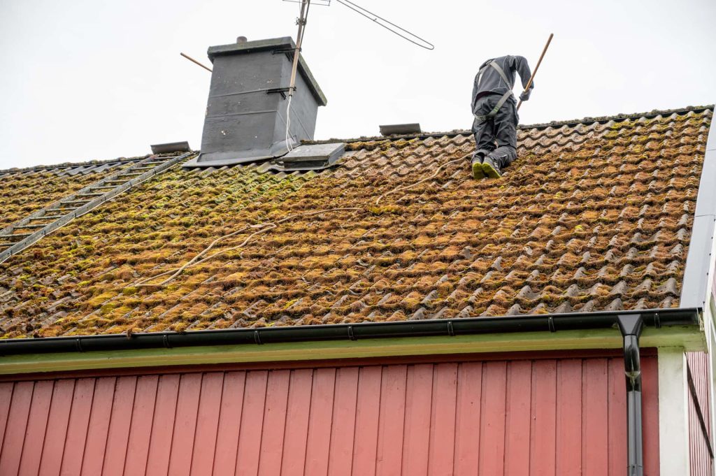 Roof moss removal Roof moss removal Banbury