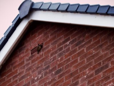 Fascia soffits replacement Stow-on-the-Wold