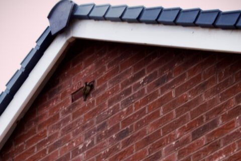 Fascia & Soffits Banbury