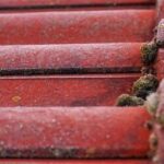 Moss cleaning 250x250 Banbury