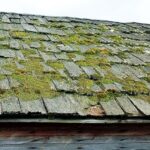Moss2 Banbury