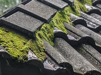 Moss4 Bicester