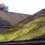 Moss6 Banbury